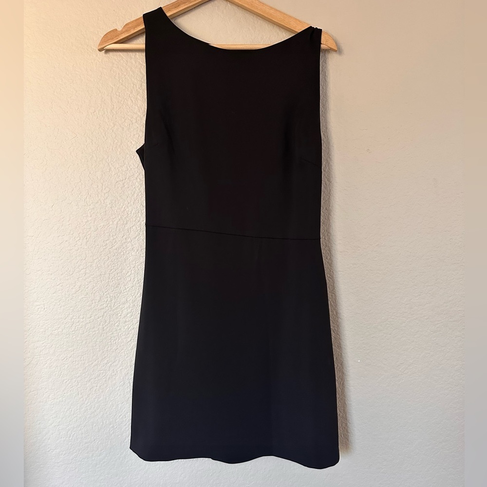 Aritzia Babaton Spectre Dress